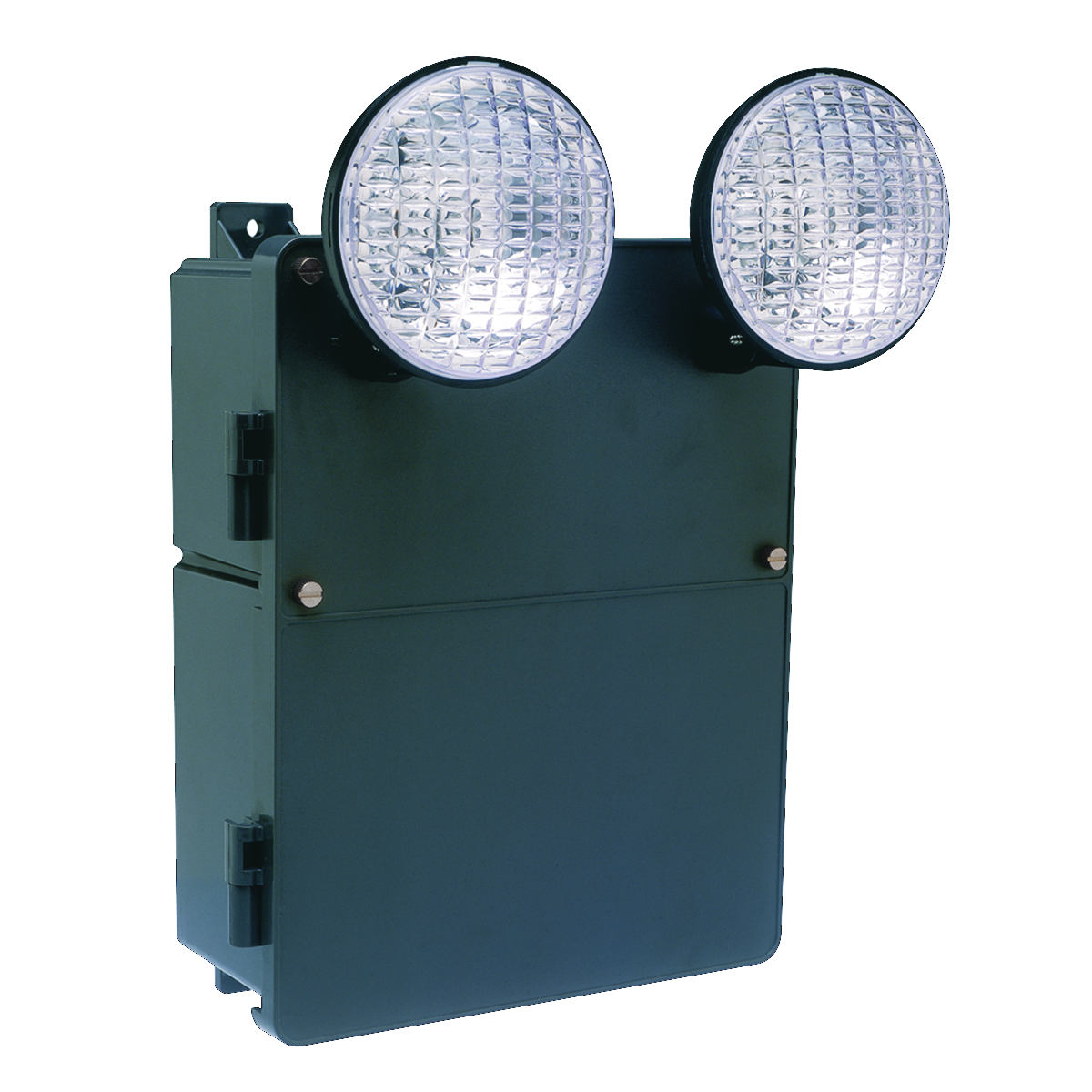 DUAL-LITE® N4X2