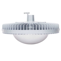 SafeSite® LEDLUC2CNNWNGN