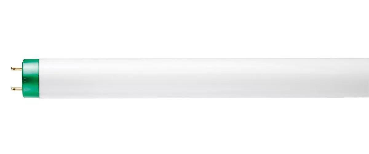 Philips 281816