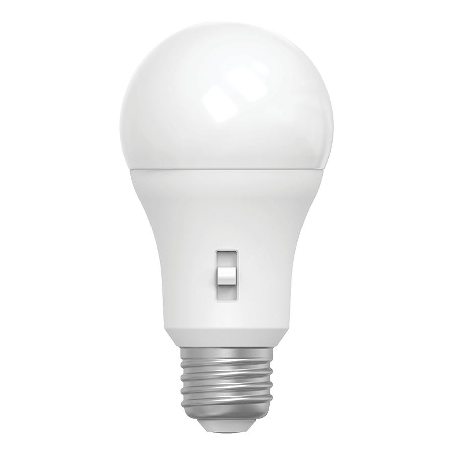 RAB A19-10-9CCT-DIM