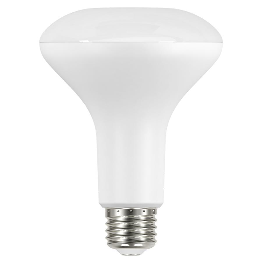 RAB Lighting BR30-8.5-830-DIM-ECO-6PK