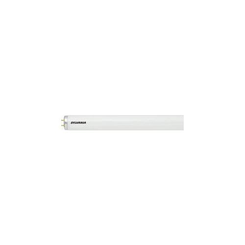 Sylvania F40CWX/24441